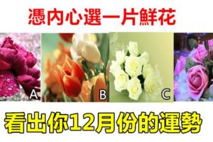 心理學：憑內心選一片鮮花，看出你12月份的運勢