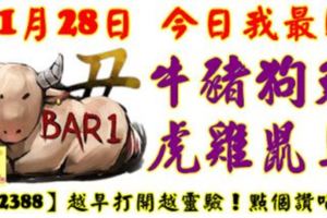 11月28日，今日我最旺！牛豬狗兔虎雞鼠馬！【22388】越早打開越靈驗！點個讚吧！