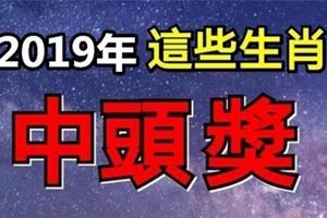 2019年必中頭獎，一夜暴富的4生肖