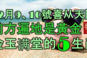 12月9號、10號喜從天降，前方遍地黃金，金玉滿堂的5大生肖！