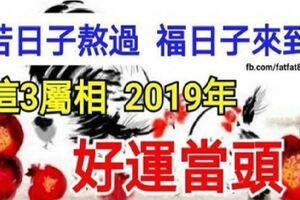 這3屬相到2019年好運當頭照，苦日子熬過，福日子來到！