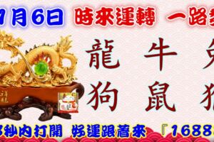 1月6日時來運轉一路發，龍牛兔狗鼠猴，88秒內打開，好運跟著來『16888』