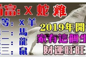 2019年開始財運很旺的生肖