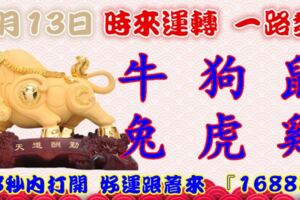 1月13日時來運轉一路發，牛狗鼠兔虎雞，88秒內打開，好運跟著來『16888』