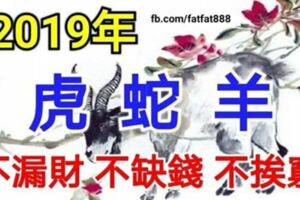 2019年正值黃金年齡的3大生肖，不漏財、不缺錢、不挨窮