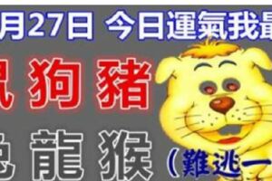 元月27日十二月廿二十二屬相運氣(今日我最旺,時來運轉168)