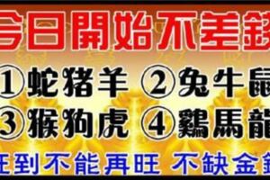 今天開始不差錢，旺到不能再旺，不缺金錢，不愁生活