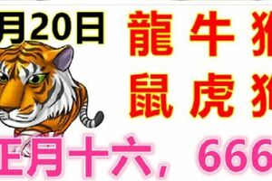 2月20日生肖運勢_龍、牛、猴大吉