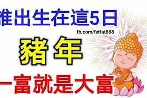 誰出生在這5日子，豬年不走彎路，只走上坡路，一富就是大富