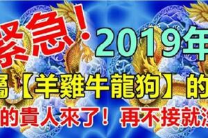 緊急！2019年，屬【羊雞牛龍狗】的人，貴人扶吉星照，翻身交好運，快來接