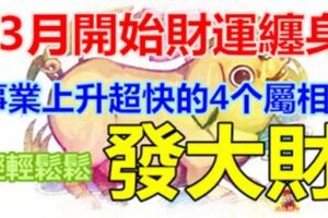 輕輕鬆鬆發大財！3月開始財運纏身，事業上升超快的4個屬相！