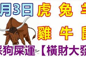 3月3日生肖運勢_虎、兔、羊大吉