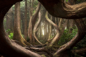 我們不認識的地球在這　20張國際景觀大賽獲獎的「世界隱秘絕景」