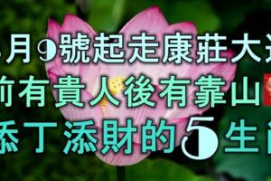 3月9號起走康莊大道，前有貴人後有靠山，添丁添財的5大生肖！