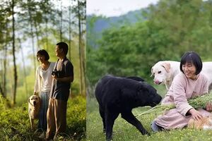 辭去15年工作，這對程序員夫妻回鄉下辦民宿，花開鳥鳴，四季有聲