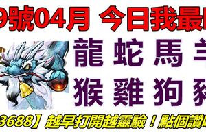 19號04月，今日我最旺！龍蛇馬羊猴雞狗豬！【93688】越早打開越靈驗！點個讚吧！