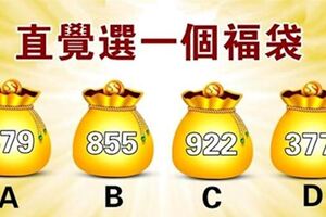 心理學：直覺選一個福袋，測你有什麼好福氣！