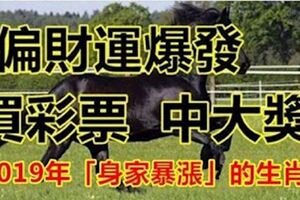 2019年偏財運爆發，買彩票立刻中大獎、身家暴漲的「6大生肖」！別說我沒告訴你