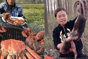 網紅吃播不是龍蝦就是帝王蟹，他們條件真這麼好嗎？其實都是套路！