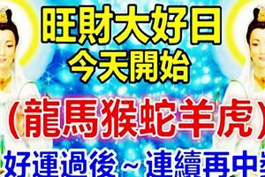 旺財大好日，今天開始，六大生肖袋袋錢滿滿。好運過後，連續再中獎。