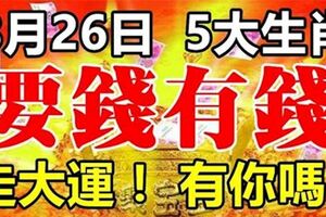 8月26日開始，走大運，要錢有錢的5大生肖!!