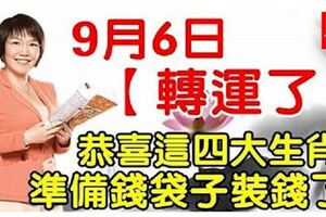 9月6日，轉運了，四大生肖準備錢袋子裝錢了