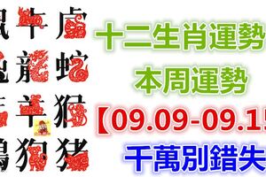 十二生肖運勢：本周運勢【09.09-09.15】千萬別錯失！