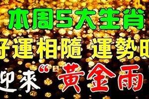 本周5大生肖運勢為旺~