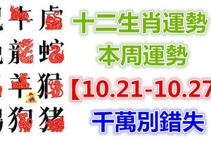 十二生肖運勢：本周運勢【10.21-10.27】千萬別錯失！