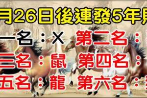 3月26日，連賺5年錢，連發5年財的生肖