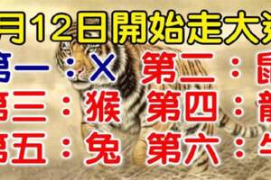 4月12日開始走大運的生肖