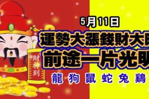 5月11日運勢大漲錢財大旺，前途一片光明的生肖