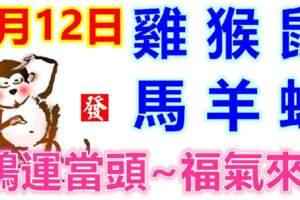 5月12日生肖運勢_雞、猴、鼠大吉