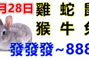 5月28日生肖運勢_雞、蛇、鼠大吉