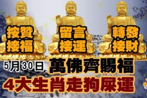 5月30日萬佛齊賜福，4大生肖走狗屎運