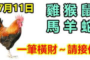 7月11日生肖運勢_雞、猴、鼠大吉