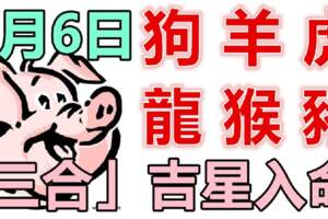 8月6日生肖運勢_狗、羊、虎大吉