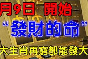 8月9日開始發財的命，6大生肖再窮都能發大財