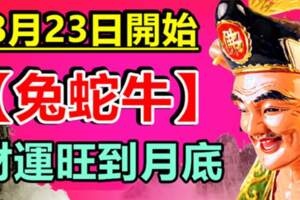 8月23日開始（兔蛇牛）財運旺到月底