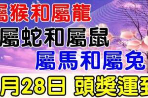 8月28日財富大爆發，頭獎運到的生肖