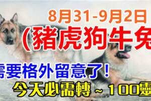 8月31-9月2日（豬虎狗牛兔）需要格外留意了，今天必須轉