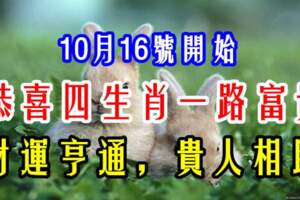 恭喜四生肖一路富貴，10月16號開始財運亨通，貴人相助