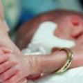 媽媽已經知道寶寶會死後「依然不墮胎堅持要生下」，74分鐘後媽媽的目的原來是要她的器官…