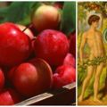 亞當和夏娃吃的居然不是「蘋果」，原來長久以來，這些「知識」都被誤傳，讓我們錯得離譜！