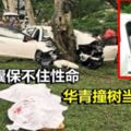 死亡車禍！安全氣囊保不住性命華青撞樹當場夾斃