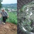 老人深居荒山10年，家人不管，去世之後我和老公給他入葬，他留下的遺物價值百萬....想不到此時某人出現了!