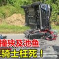 兩車相撞殃及池魚摩托車騎士枉死！