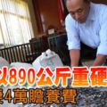 ﻿男子以890公斤重硬幣付前妻4萬贍養費