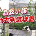 為救小貓,他去到這樣盡！「救貓哥」獲不少網民大贊!