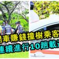 熬夜開車賺錢撞樹乘客送命！大學生害人害己被關4週和吊銷駕照5年！